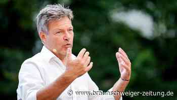 Habeck: Wenn Trump gewinnt, lassen wir Ukraine nicht alleine