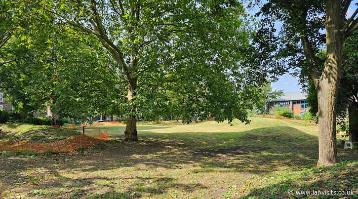 London’s Pocket Parks: Thessaly Road Oasis, SW8