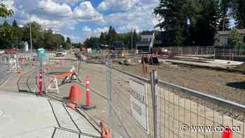 City council rejects grant program for Stony Plain Road businesses struggling through LRT work