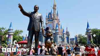 Disney drops bid to stop allergy death lawsuit over Disney+ terms