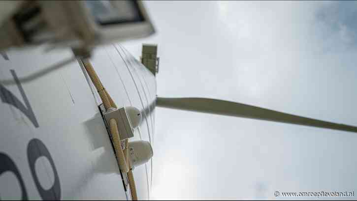 Zeewolde - Slimme camera's moeten zeearenden veilige vlucht bieden dwars door Zeewolder windpark 
