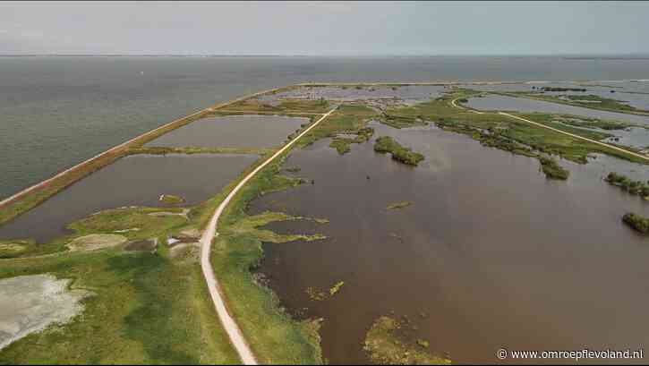 Lelystad - Marker Wadden worden steeds kleiner: 'Hele stukken strand scheuren af'