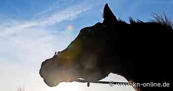 Rügen: 14-jährige Reiterin wird von Traktor überrollt