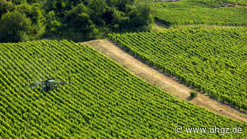 Schaumwein: Höhenflug bei Champagner ist vorbei