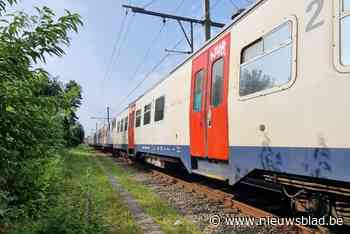 Treinverkeer tussen Kapellen en Essen hersteld na defecte goederentrein