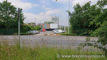 Belgische zuivelcoöperaties in nek-aan-nekrace