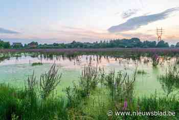 Botulisme treft Bleukensweide in Leest: “Laat dieren zeker niet van water drinken”