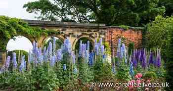 'I visited fairytale rose gardens less than 1 hour from Newcastle and felt like I was in Italy'