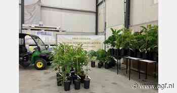 Toenemende interesse voor notenteelt in Nederland