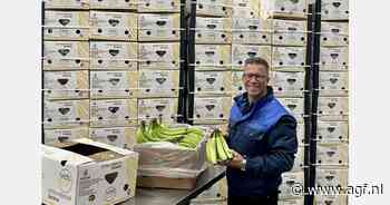 "Kortere zomerdip dan andere jaren op de bananenmarkt"