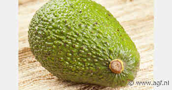 Nederland blijft belangrijkste markt voor Peruaanse avocado's