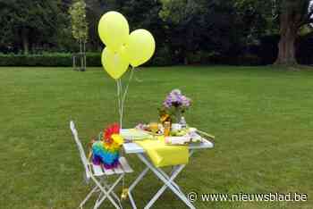 Kom Op Team Maldegem organiseert eerste picknick en familiedag in Sint-Annapark