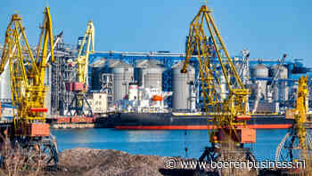 Oekraïne maakt de weg vrij voor minimum-graanprijs