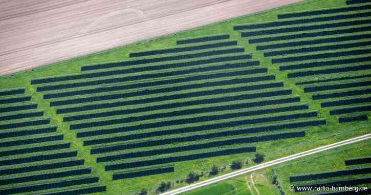 Bayern will Bau von Solaranlagen an Straßen voranbringen
