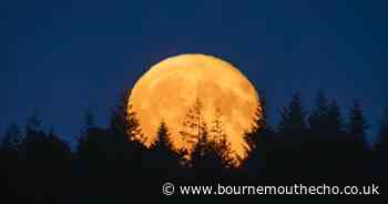 PICTURES: Dazzling supermoon lights up the skies over Dorset