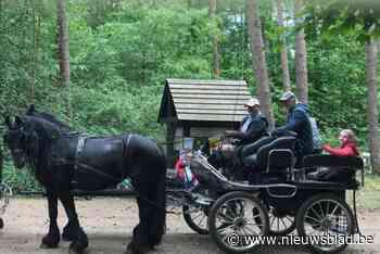 Open koetsrit voor goed jongerendoel ter herdenking van Leo Van de Brande