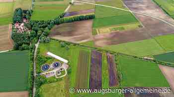Von der Gerade zur Schleife: Damit der Verlorene Bach wieder mehr Lebensraum bietet