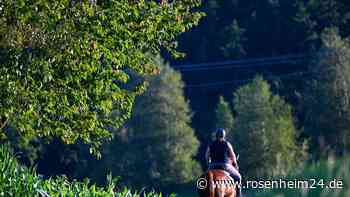 Mädchen (14) von Pferd geschleudert und von Maschine überrollt