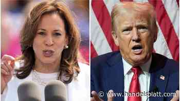 Risikofaktor US-Wahl  : US-Fondsmanager: „Es ist gut möglich, dass wir Kursrücksetzer von 20 Prozent und mehr sehen werden“