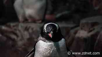 Windows update breaks Linux dual boot - but there is a fix for some users