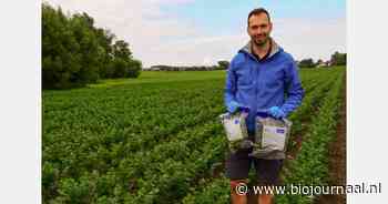 Hoe gebeurt de controle van de biogroenteteelt?