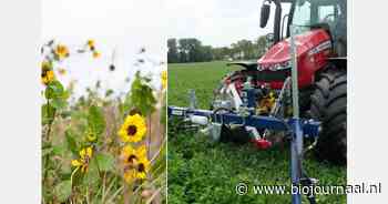 Open Dag Natuurinclusieve Landbouw op Hillekens Hoeve: 31 augustus