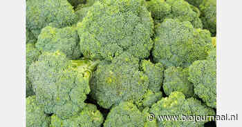 Bio-broccoli met lage juniprijs, recordverkoop van bio-abrikozen
