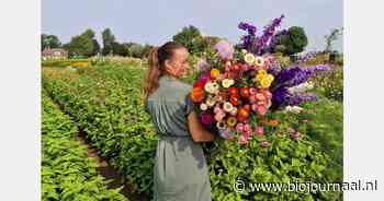Veldboeketten als nieuwe tak van sport