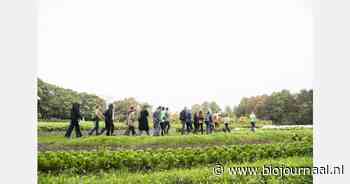 Rondleiding en diner duurzame groenteteelt bij Tuin de Es