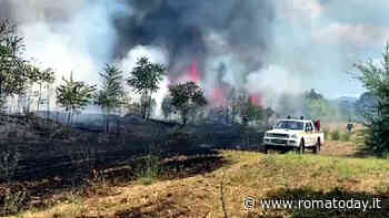 VIDEO | Incendio a Roma, brucia il pratone tra Torre Spaccata e Cinecittà est: fumo tra i palazzi