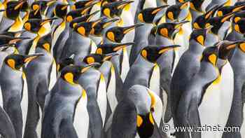 Don't panic! It's only 60 Linux CVE security bulletins a week