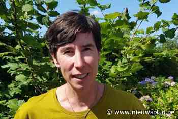 Groen bevestigt deelname aan verkiezingen, waardoor inwoners al minstens uit drie lijsten zullen kunnen kiezen