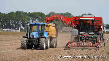 Topoogst aardappelen nog vol mitsen en maren