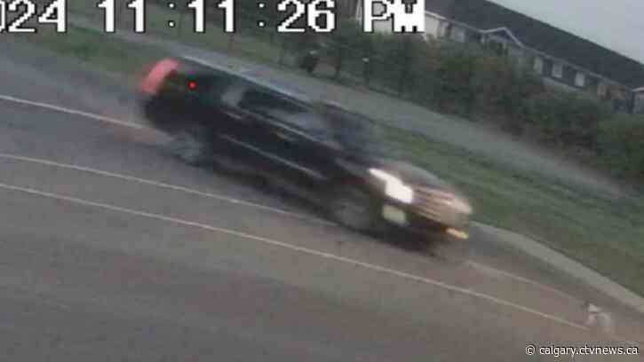 Family dog hurt in hit-and-run crash in Chestermere