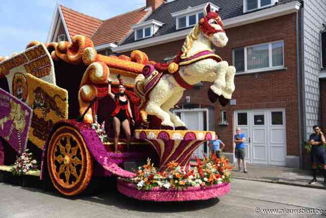 Tekort aan Nederlandse dahlia’s zorgt niet voor paniek in Sint-Gillis: “Elke week groeien er nieuwe knoppen”