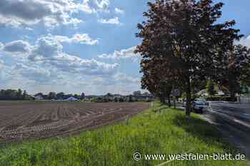 Strathe-Wiese bleibt Parkplatz beim Katharinenmarkt 2024