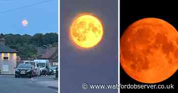 Stunning full blue supermoon lights up Watford skies