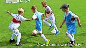 Beim VfB-Fußballcamp: In Berneck üben sich 80 Kinder im Dribbeln und Passen
