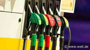 „Im Sinne des Klimaschutzes“ – Autoverband will das Ende von Benzin und Diesel ab 2045