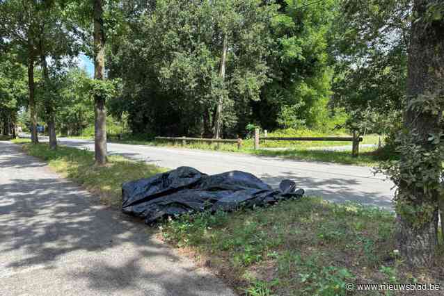 “De geur is niet te harden”: dood schaap ligt al dagenlang langs baan, firma krijgt aantal meldingen niet tijdig verwerkt