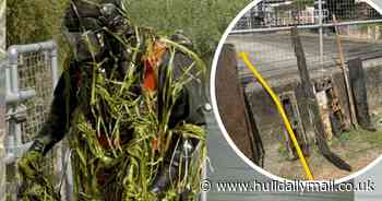 Underwater Search Unit uncovers hidden dangers in Beverley Beck