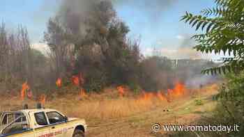 Incendio a Roma, brucia il pratone tra Torre Spaccata e Cinecittà est: gravi 4 soccorritori
