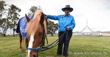 Australien: Gericht erlaubt Tötung von Tausenden Wildpferden