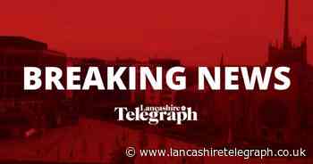 Investigation under way after man dies in XL Bully dog attack - updates