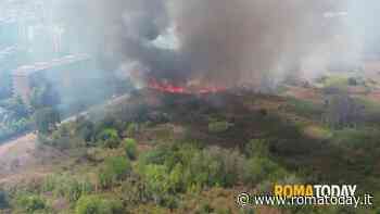 Lettori - Incendio viale bruno Pelizzi parco (video)