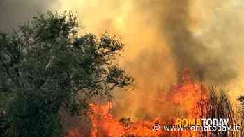 Lettori - Incendio al quartiere Don Bosco via bruno pelizzi