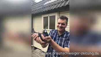 Meerdorfer „Blesse“ ist Niedersachsens beste Taube