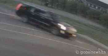 Alberta RCMP look for SUV after hit and run in Chestermere