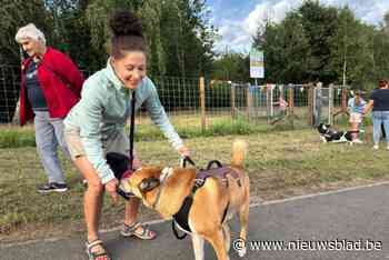 Zevende hondenlosloopweide van Genk geopend in Winterslag en Boxbergheide