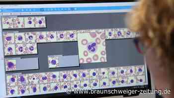 Leukämie-Häufung im Papenteich: 18 von 21 Patienten tot